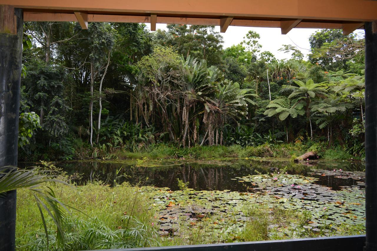 Rainforest Eco Lodge Сува Экстерьер фото