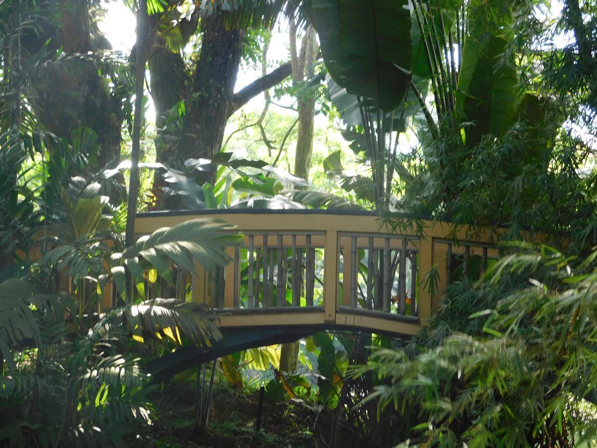 Rainforest Eco Lodge Сува Экстерьер фото