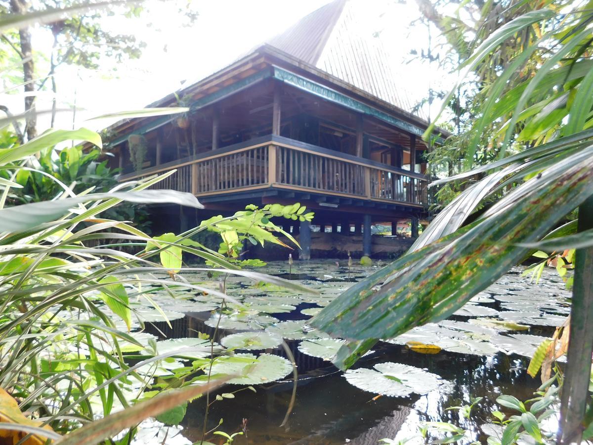 Rainforest Eco Lodge Сува Экстерьер фото