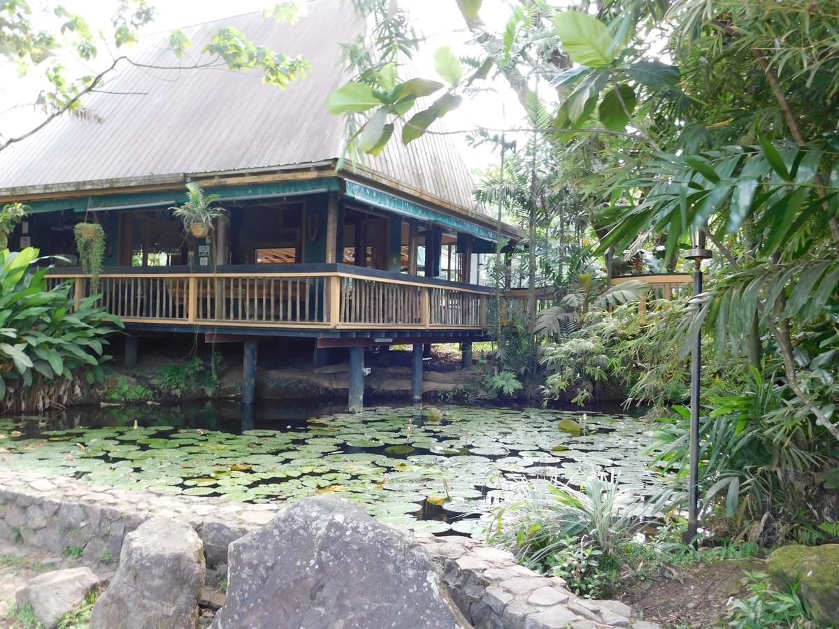 Rainforest Eco Lodge Сува Экстерьер фото