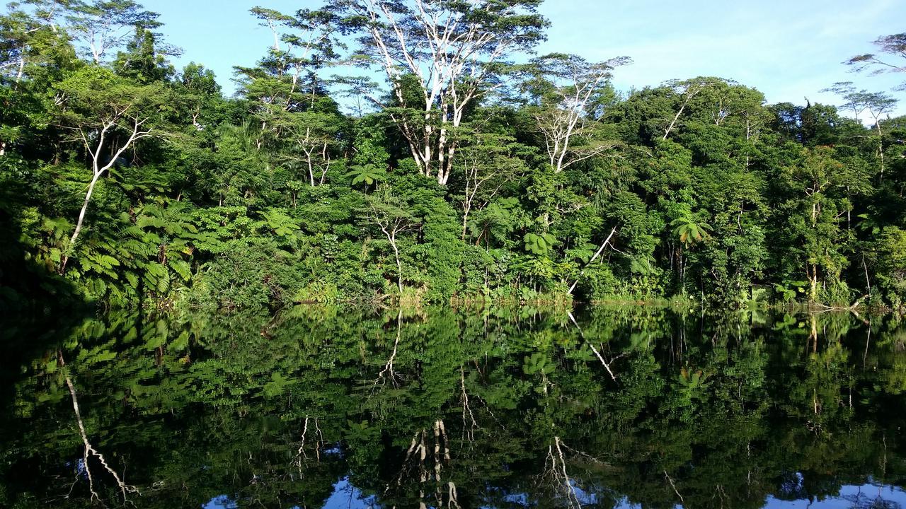 Rainforest Eco Lodge Сува Экстерьер фото