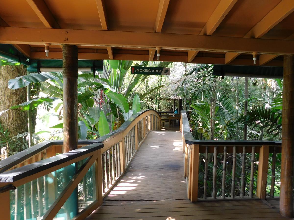 Rainforest Eco Lodge Сува Экстерьер фото